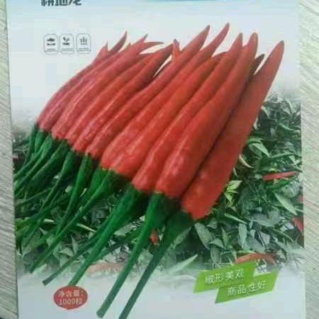 糠頭都榨出油