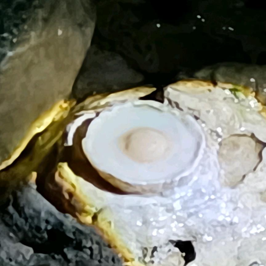 _(:з」∠)_正经大叔々