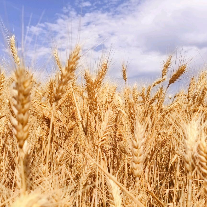 我的宝宝超可爱