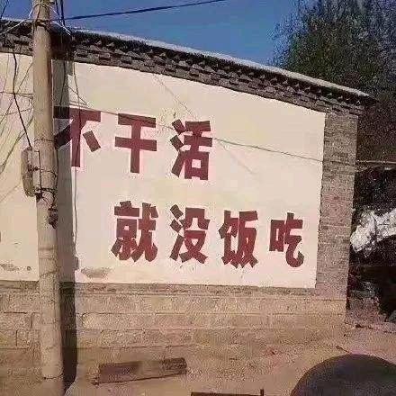 不干活.就没饭吃