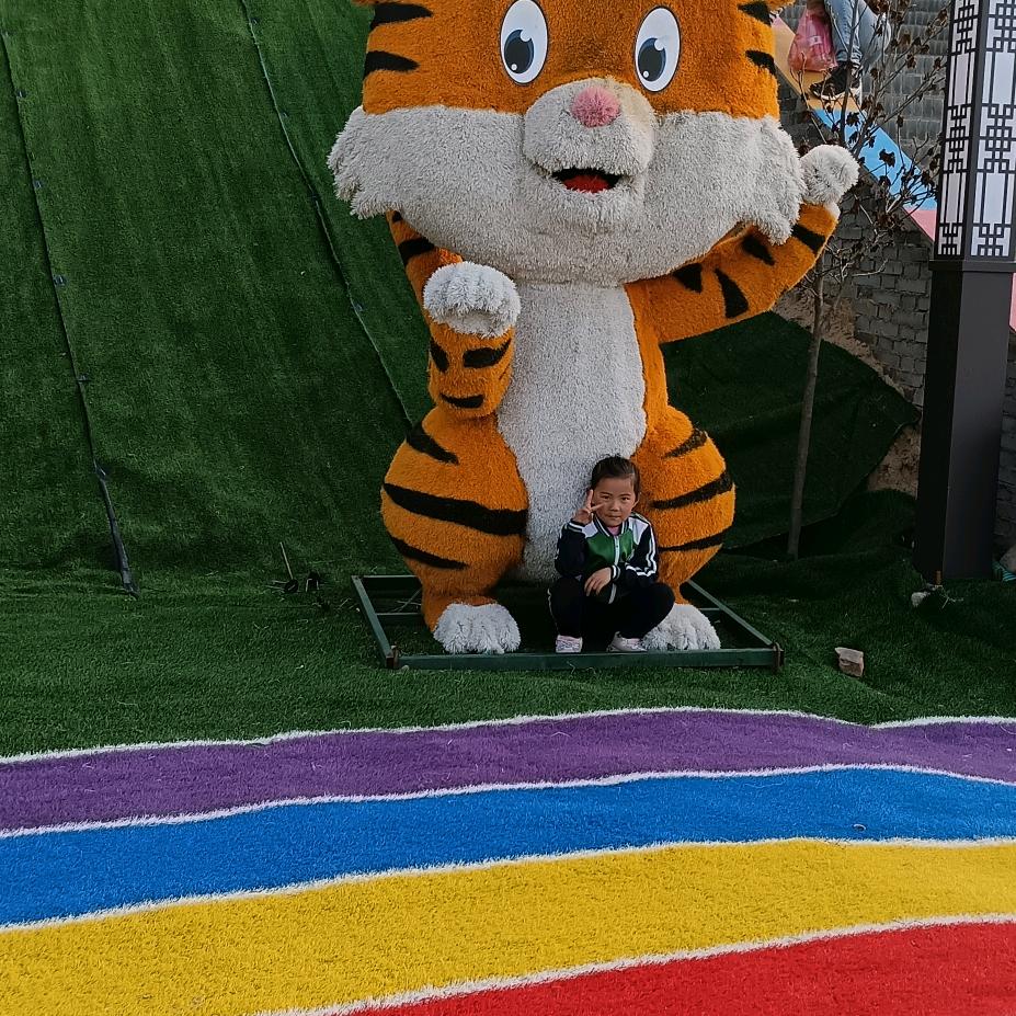 菲菲紫米饭团•寿司