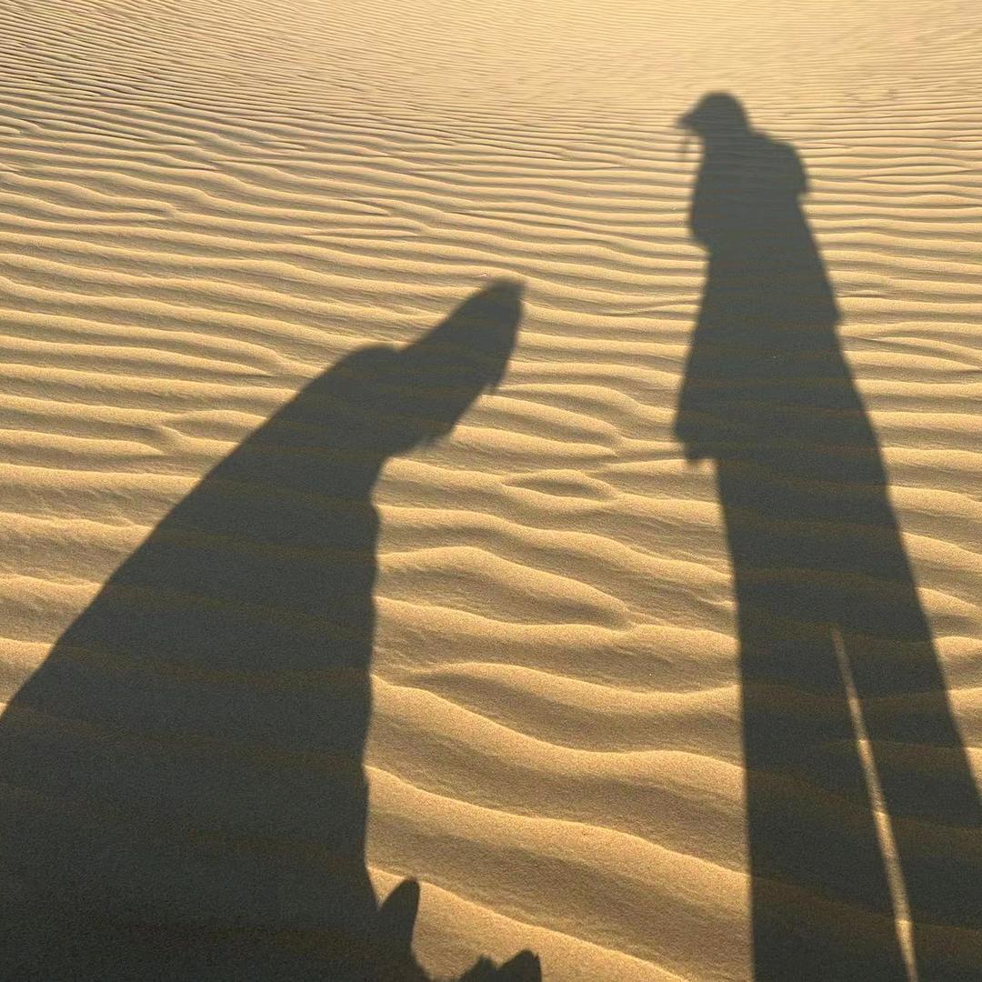 爱研说🤙🏿差不多吧