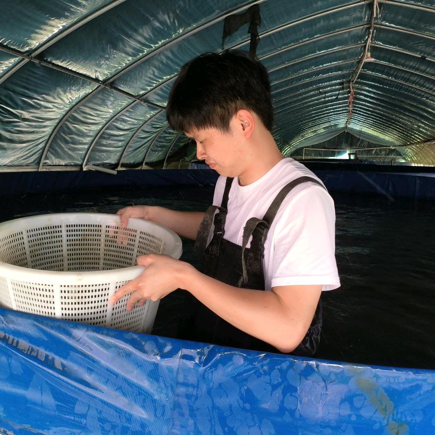 宿迁丰淼水产苗种基地