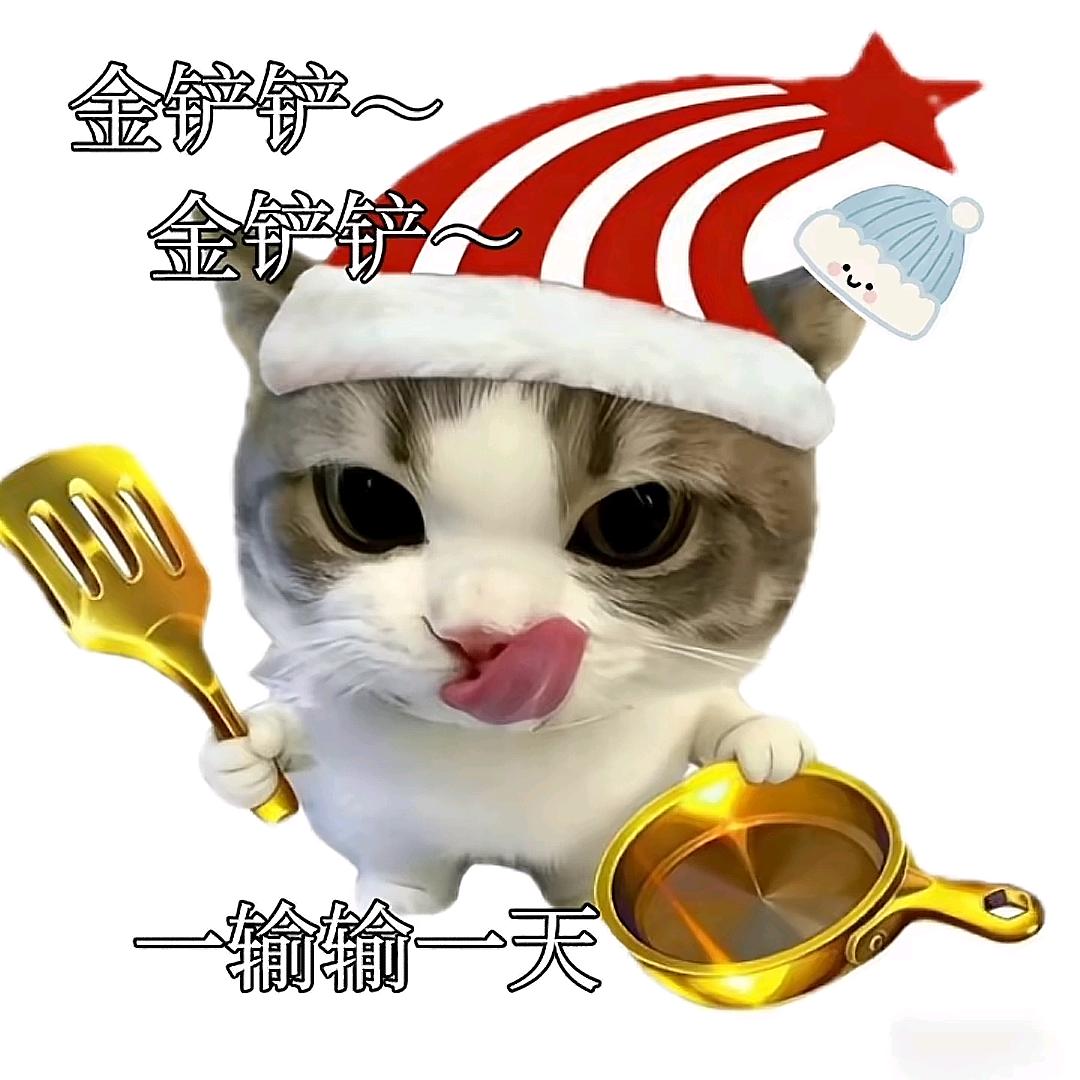 请爱我的不完美