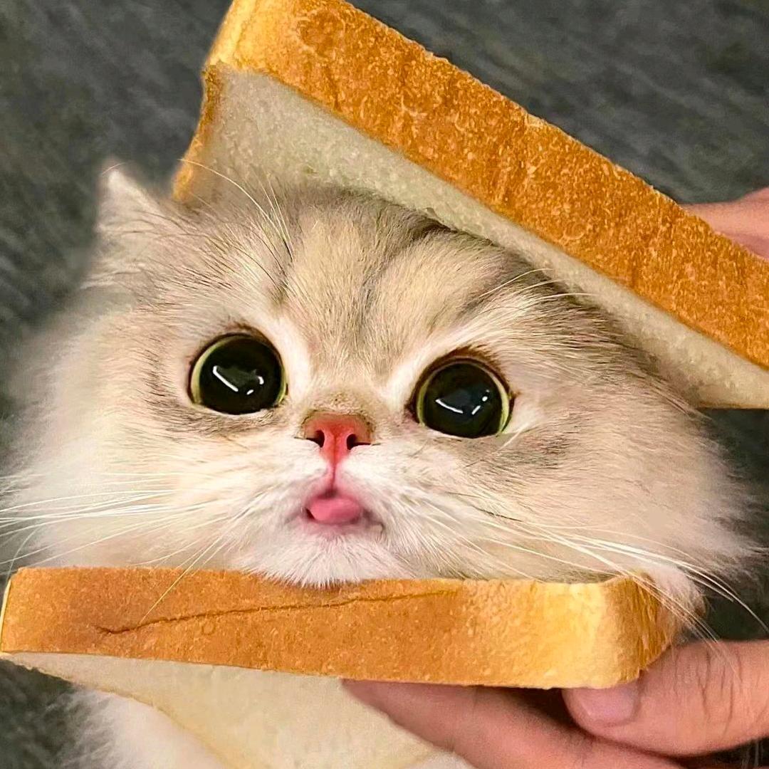 彳亍口八.。。..o