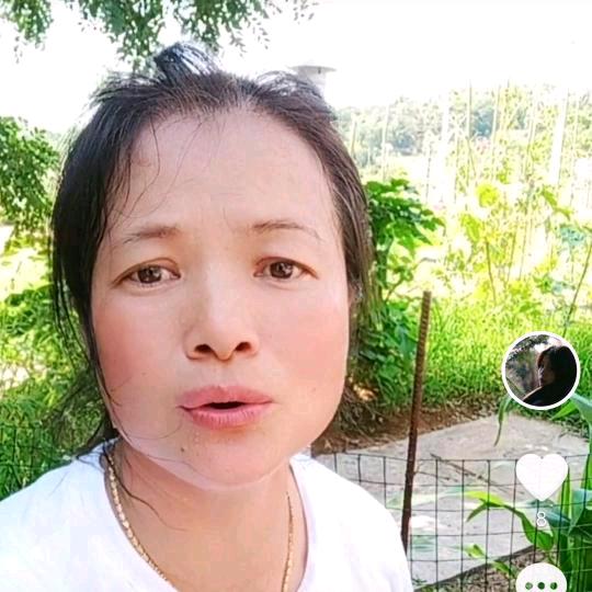 哈婆娘