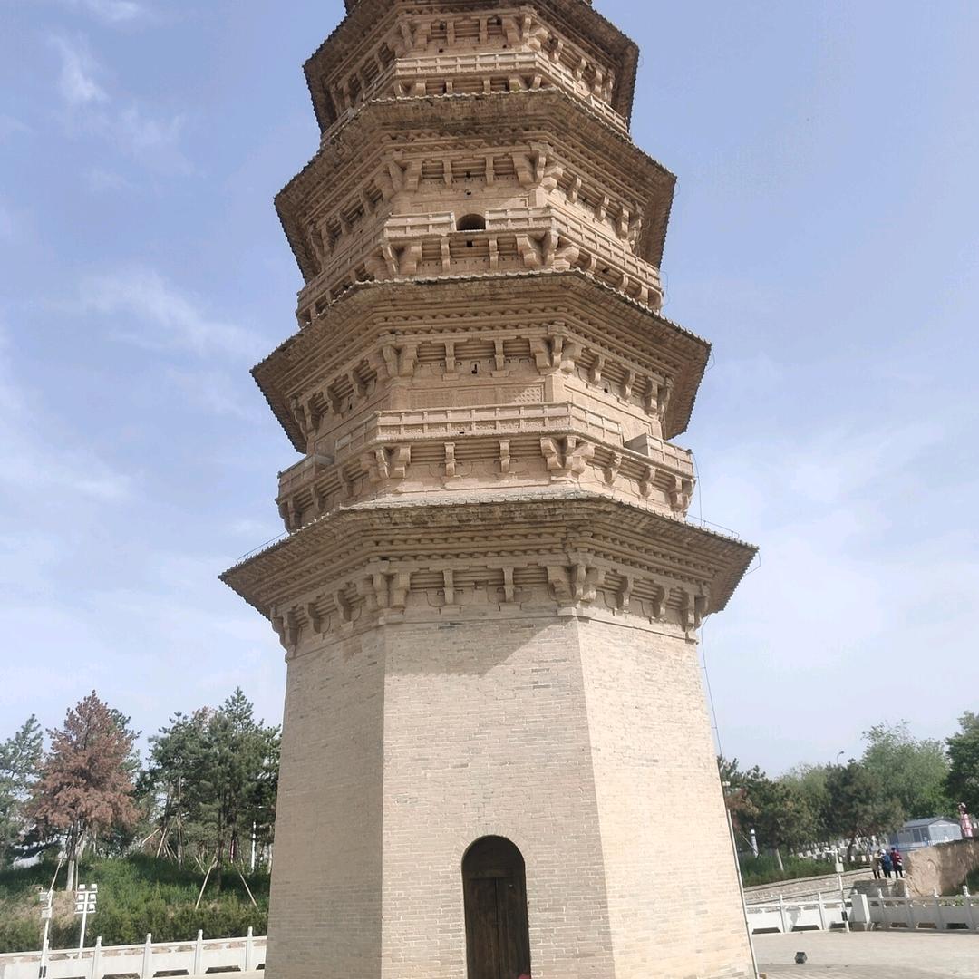 大龙蔬菜水果批发