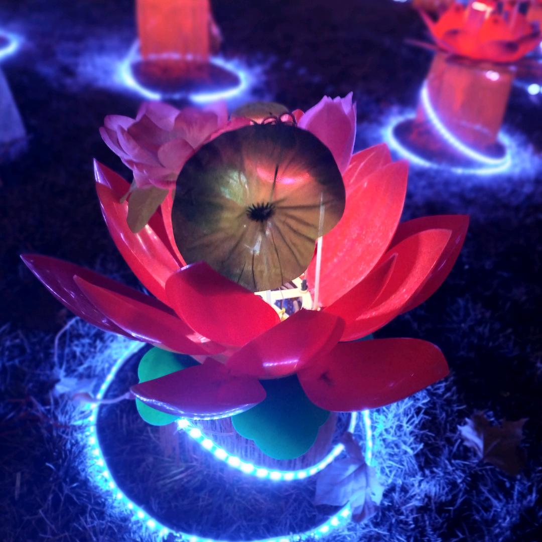 逍遥自在