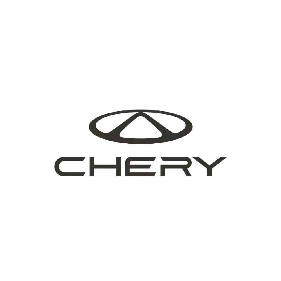 经开区奇瑞销售吴