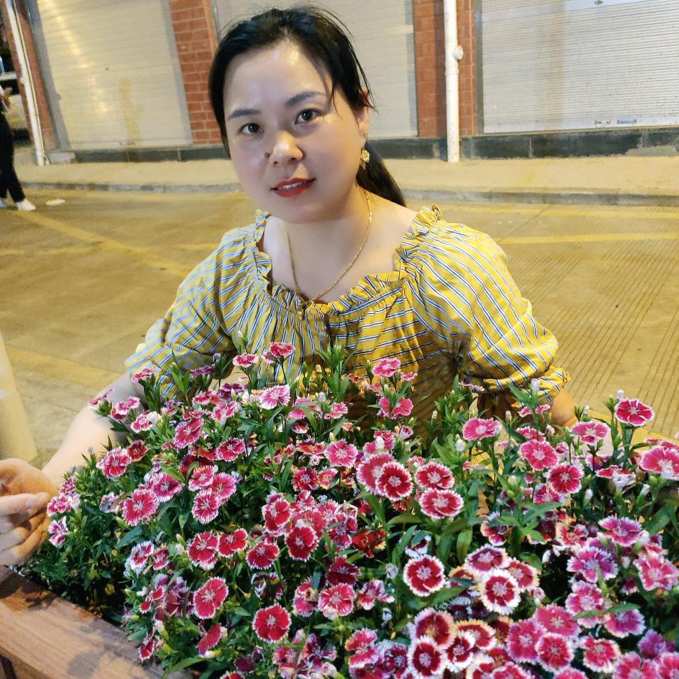 巧妙于回，你精通哟