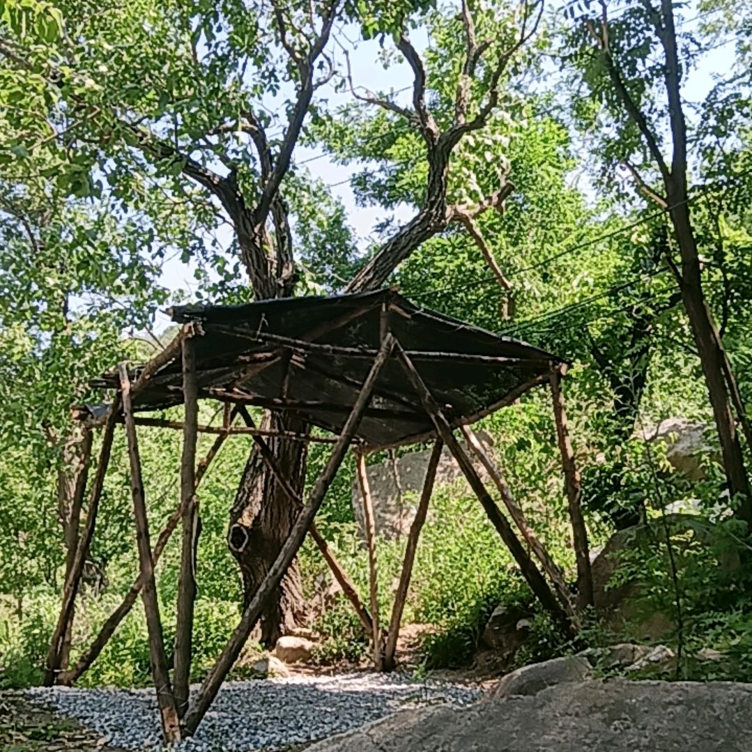 林溪小院