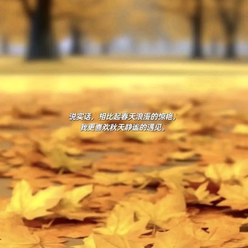 她.虚假童话
