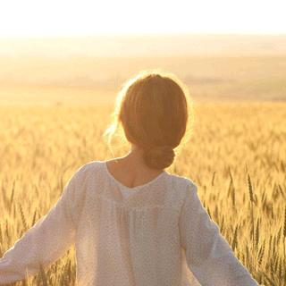 百变手工艺品店-枫