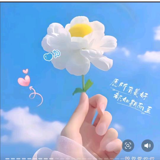 🌿浅笑安然🌿