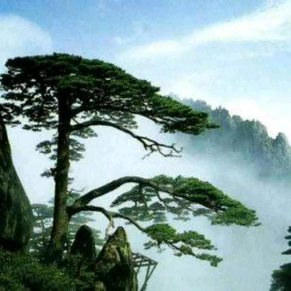 山路人