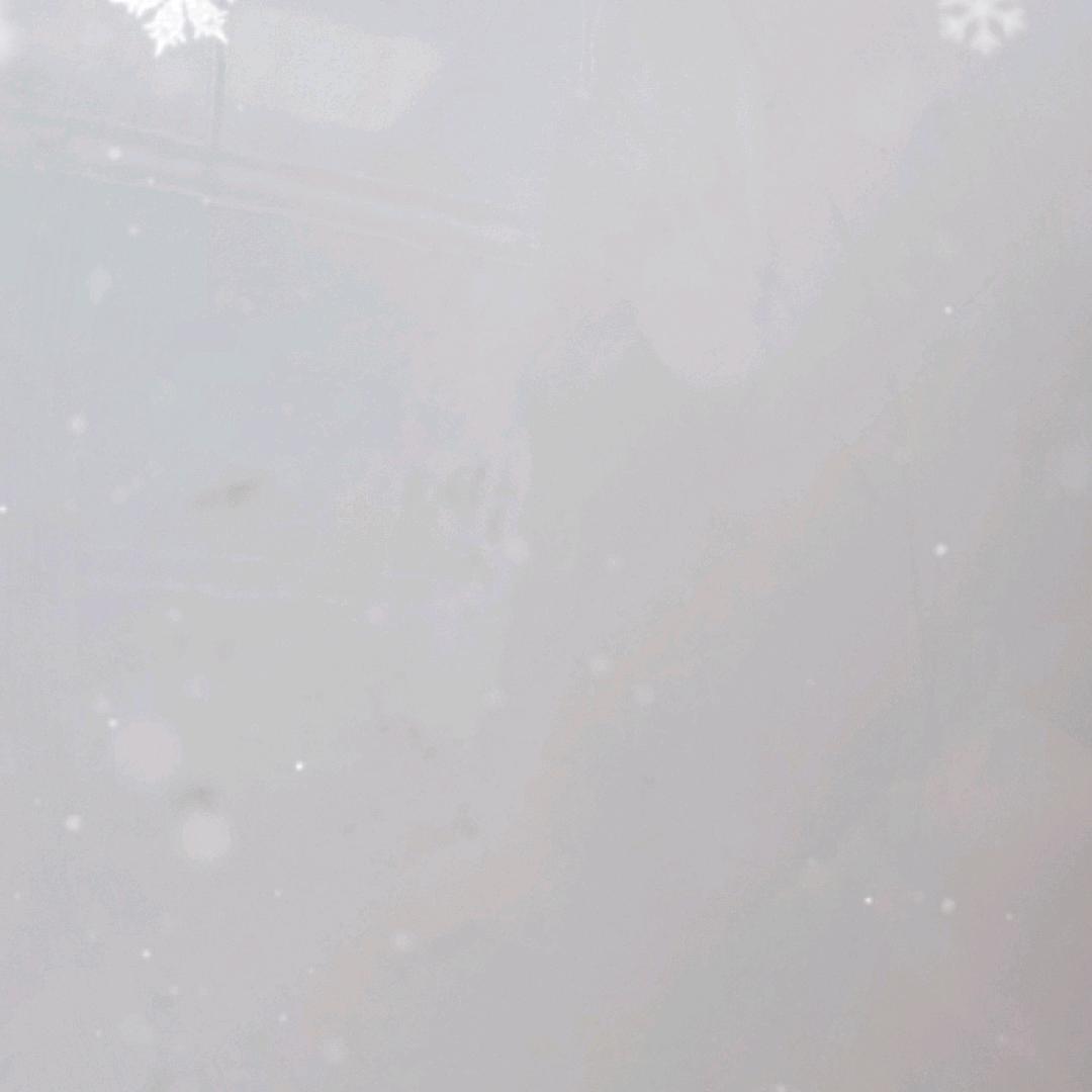 布衣🐲🐲🐲