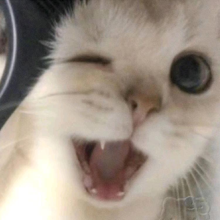 颜正义