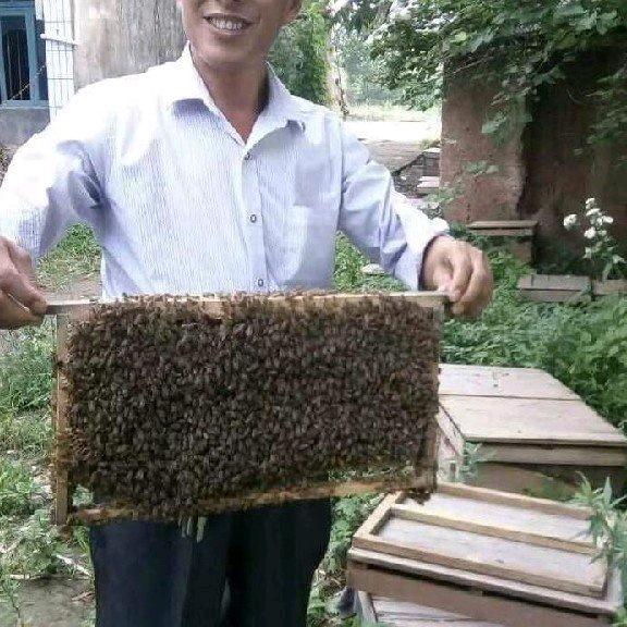 良桥土蜂蜜养殖场