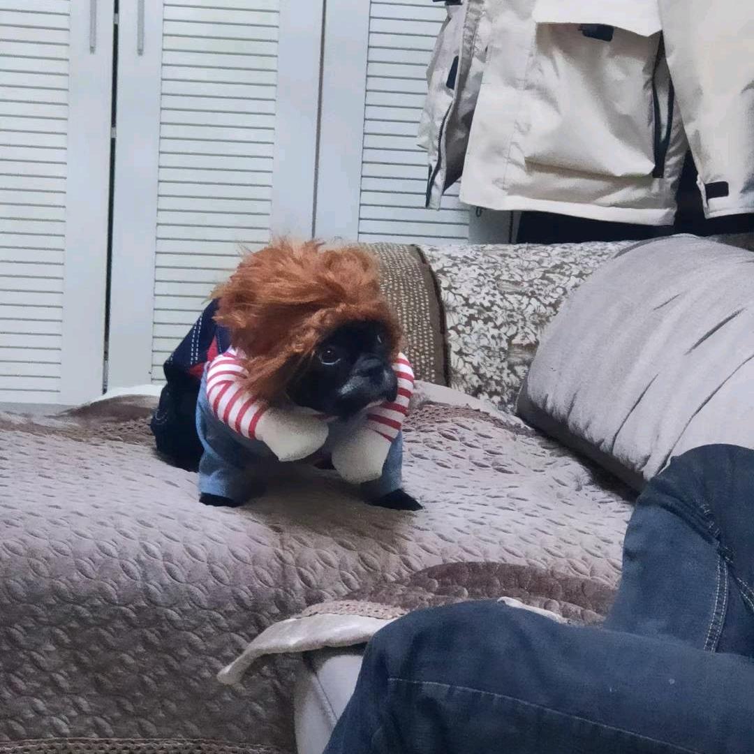 俗不可耐丶