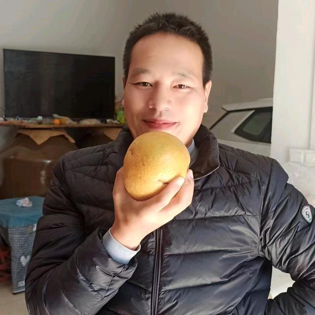 蚂蚁和大象
