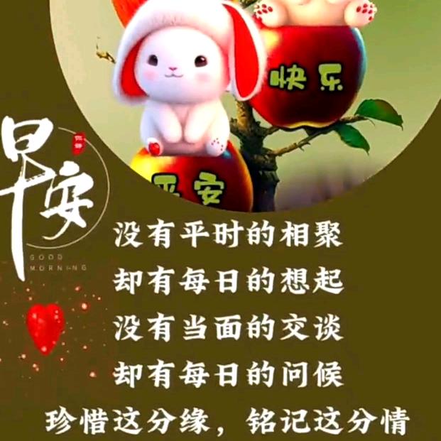 开心就好🍅