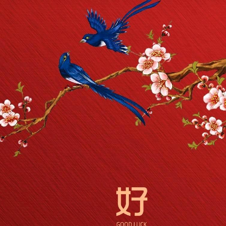 山东鸿华建筑安装工程有限公司