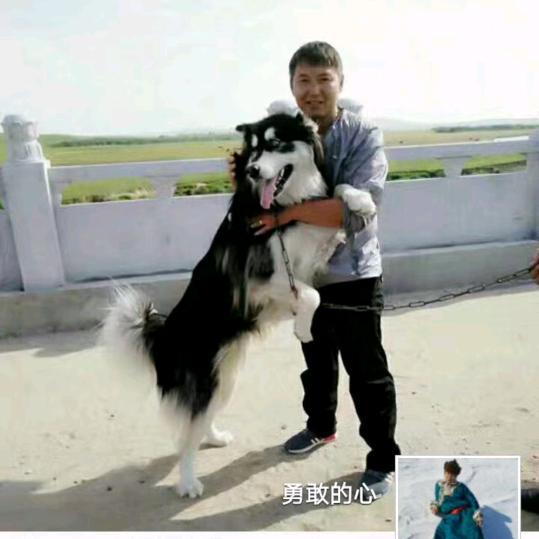 要么狠，要么忍，要么滚。