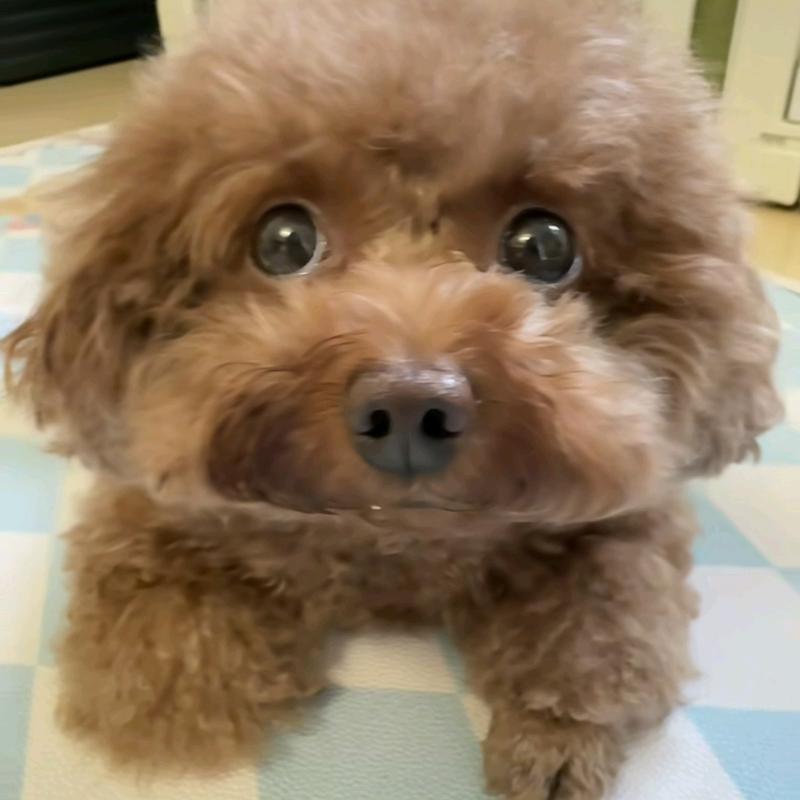 铭