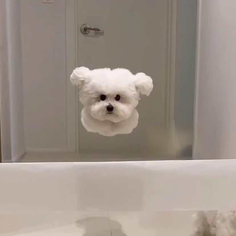 杨杨得亿！