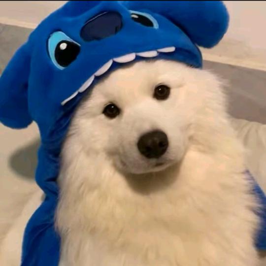 ~~-