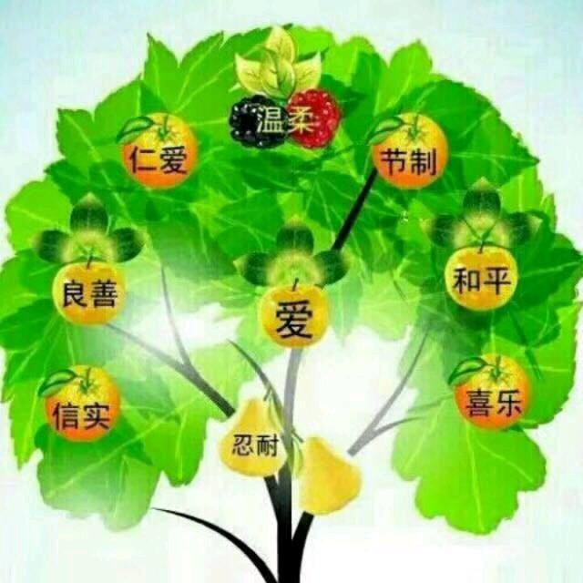 爱❤️仁爱