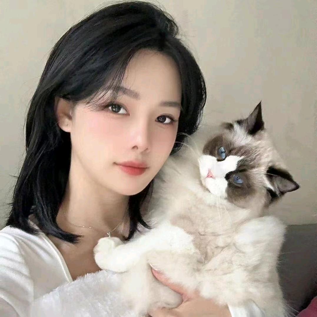 是爆爆鸭