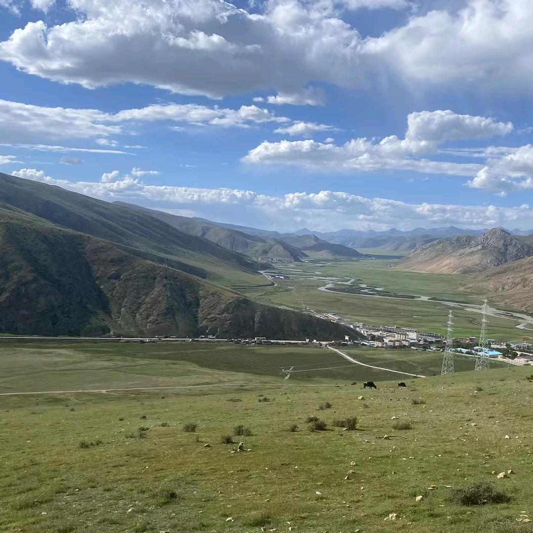 阳阳小宝(最强对抗路)