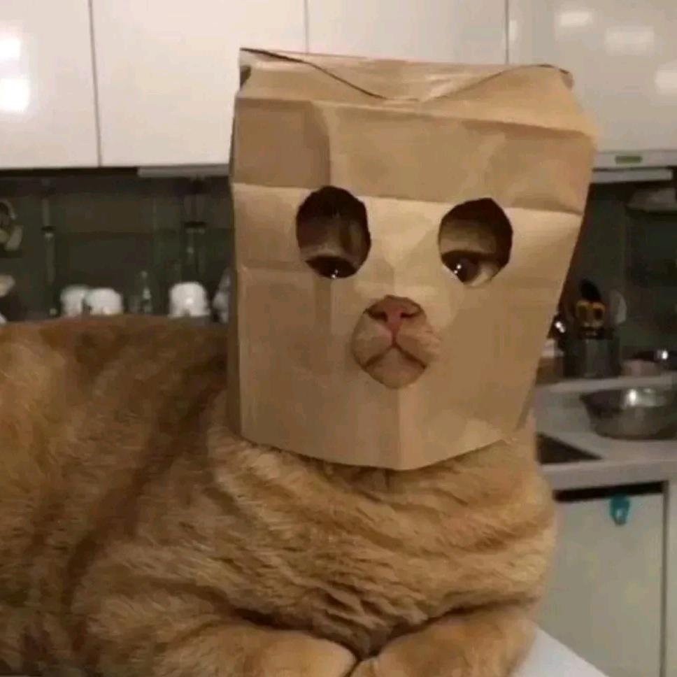 敖敖