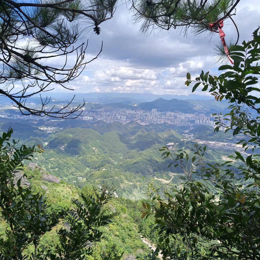 陌雨