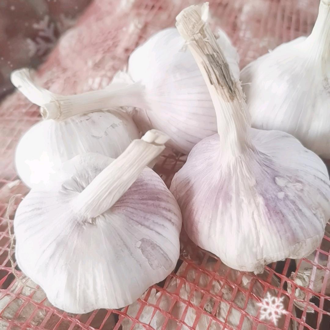 @茼裕种植家庭农场