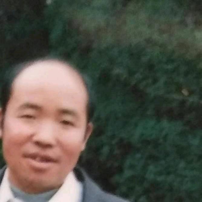 开心果