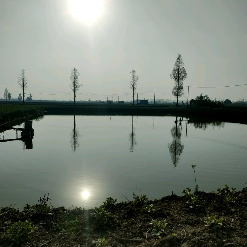 渔药兴龙海朋
