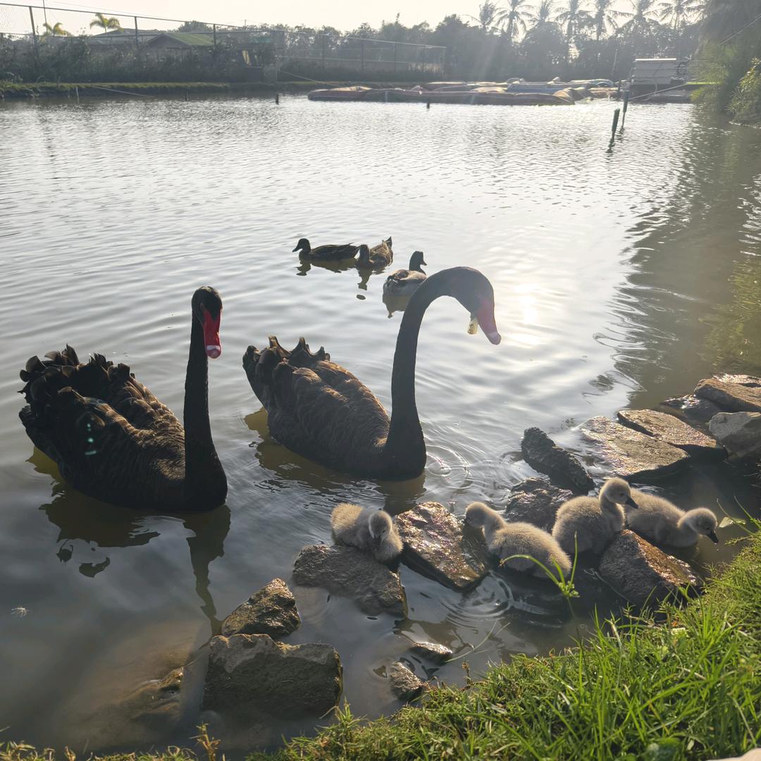 天什么时候才能亮？