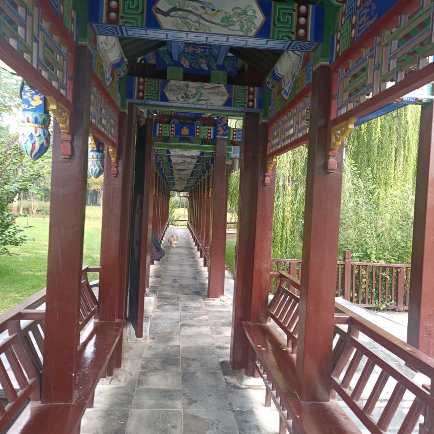 温柔只给意中人