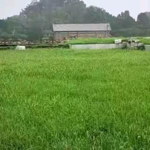 继光银