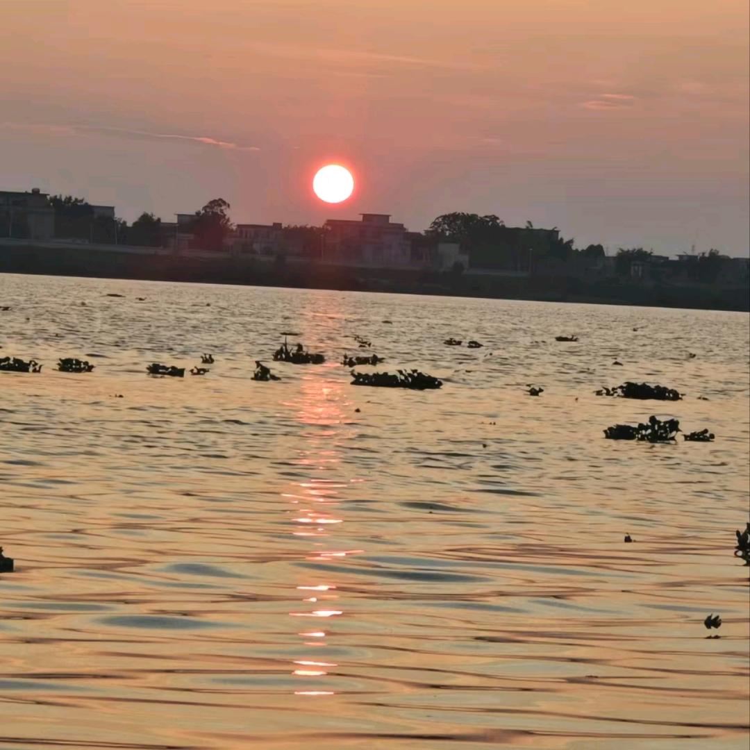 燕子家鲜牛奶（自有牧场）