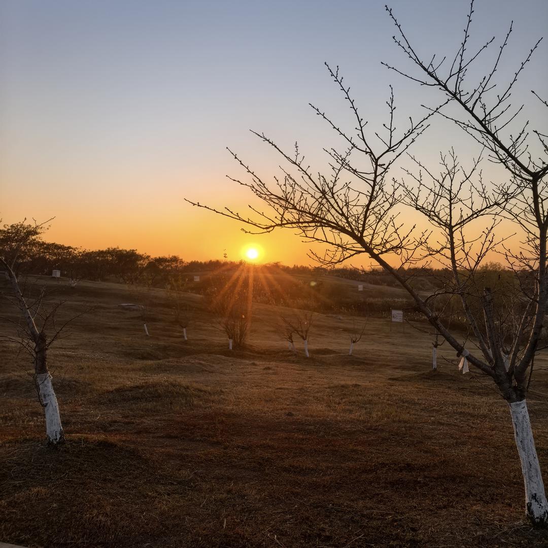 一只小锦李(>﹏<)