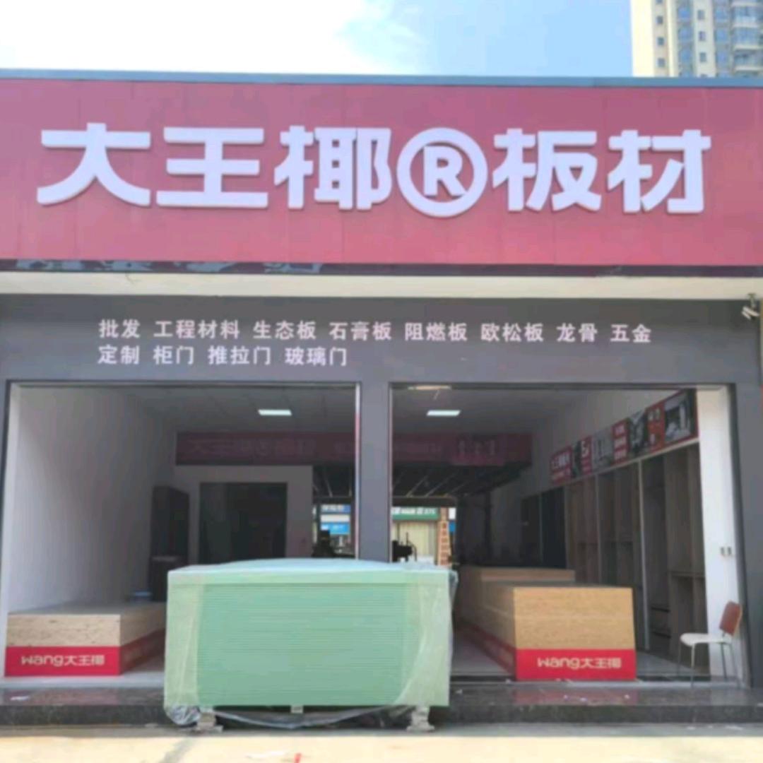望城区大王椰板材  定制衣柜  柜门
