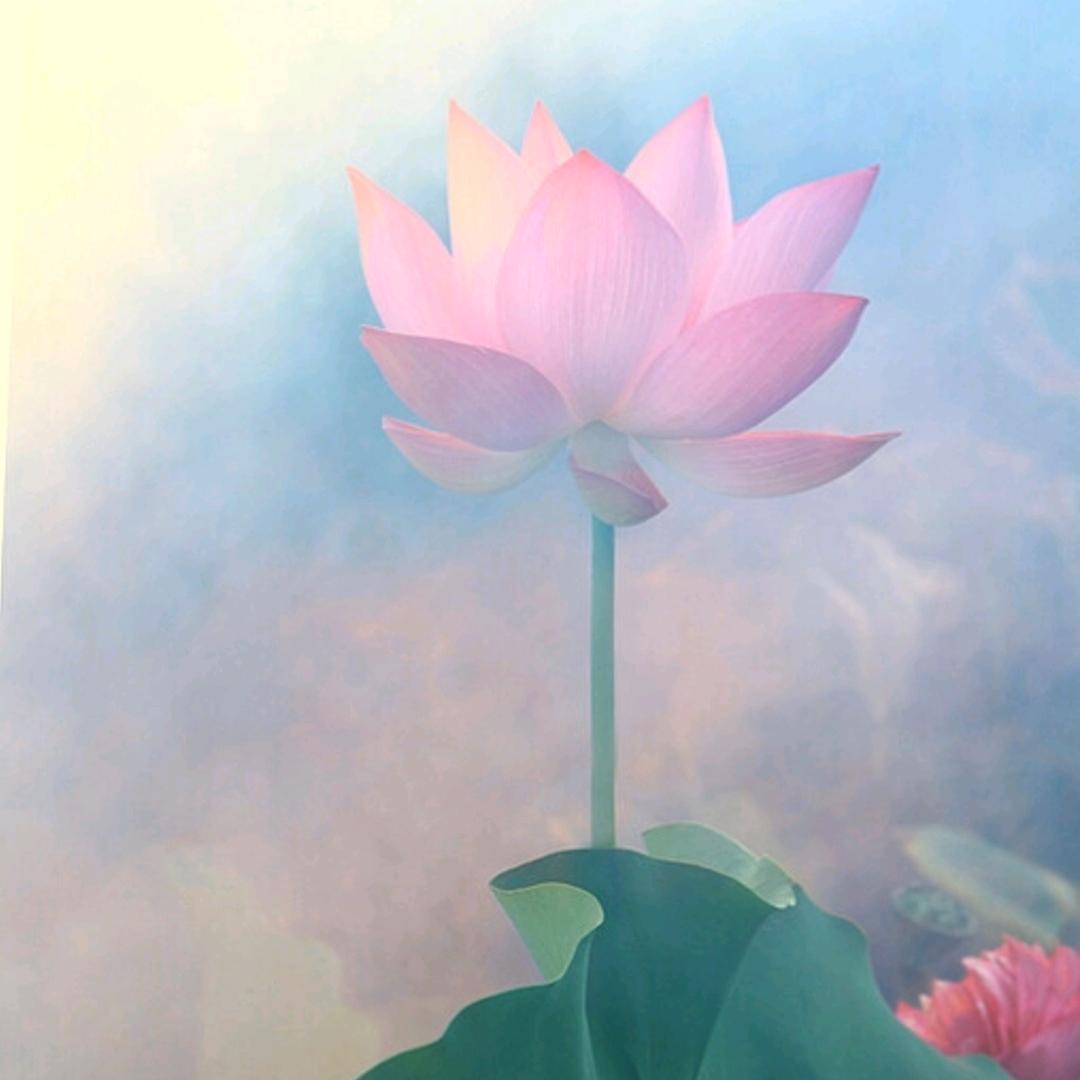 光照现尘埃