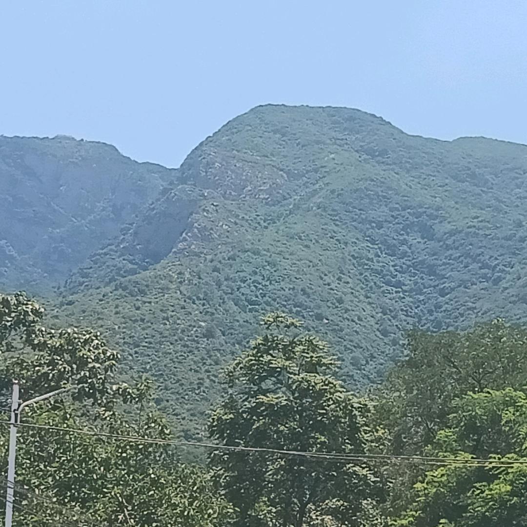 中灵山有缘人