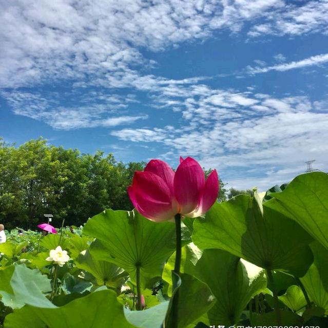 🥰一帆🥰风顺🥰