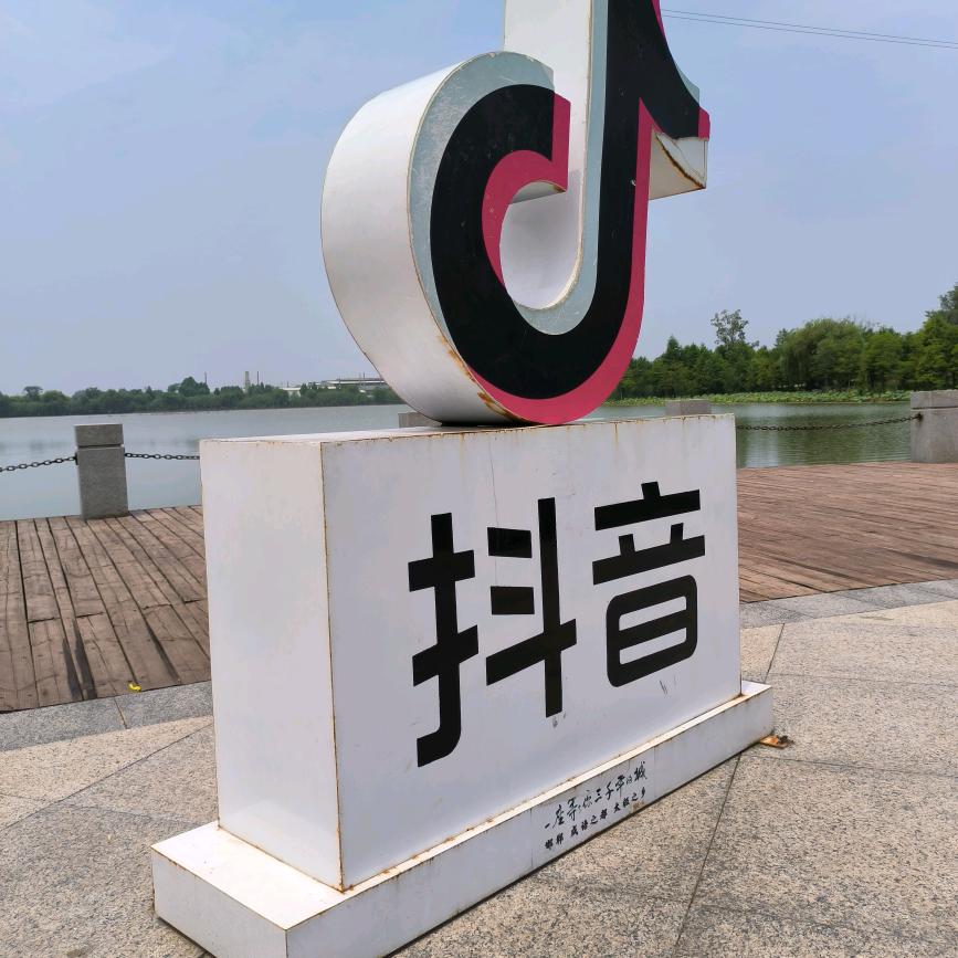 豪情万千的大蒜，