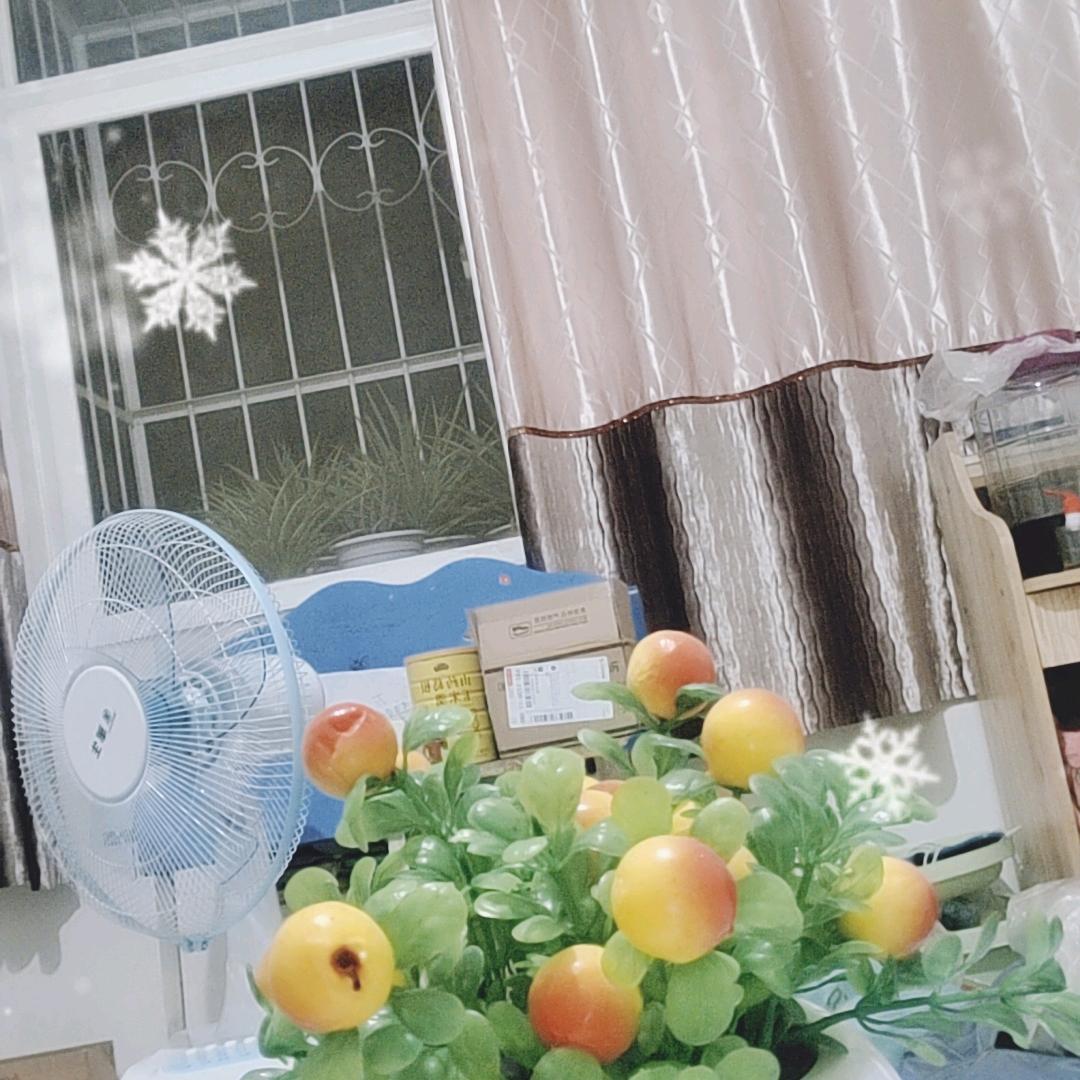 东夏从容
