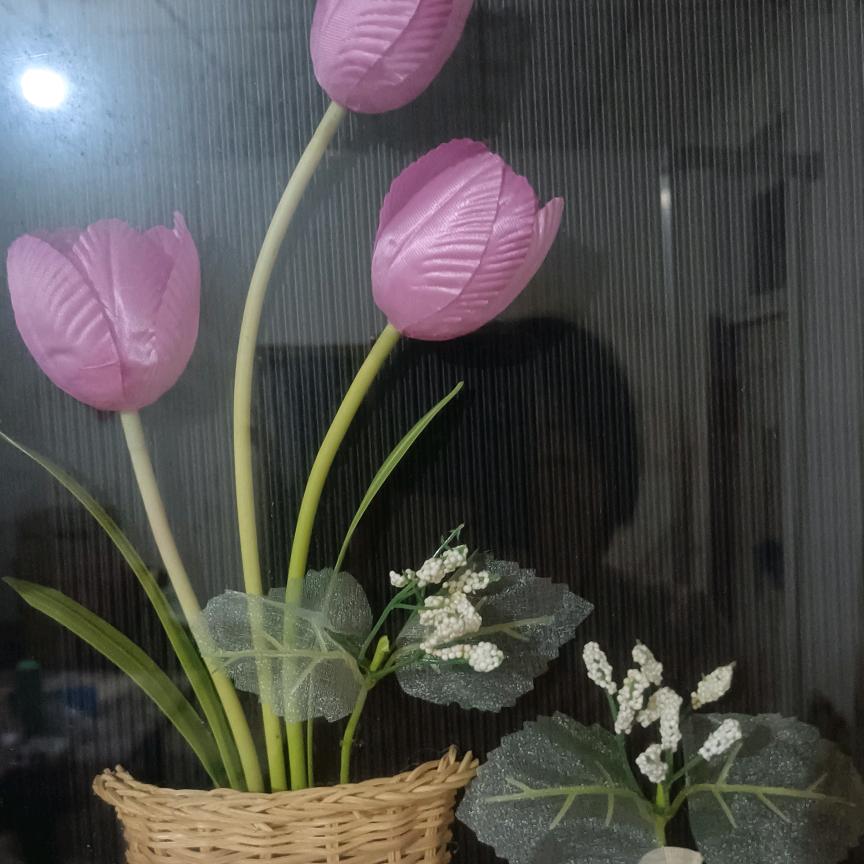 秀秀